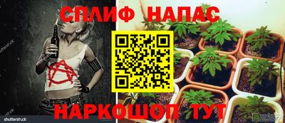 таблы Заводоуковск